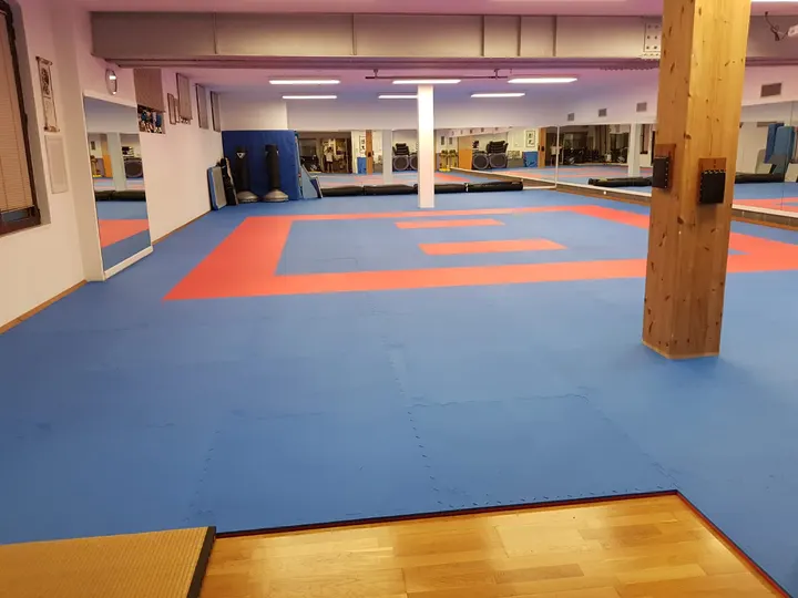 Karate Do Trieste — arti marziali-studio a Trieste — 5