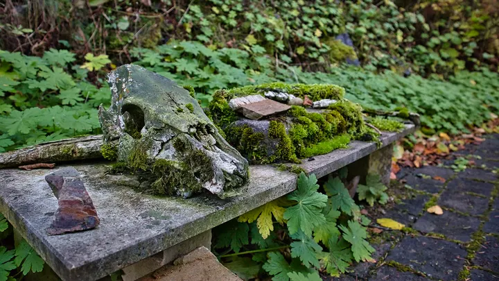 Buddhistisches Meditationshaus Vimaladhatu — meditation-studio in Linneperhütte, Sundern (Sauerland)-Altenhellefeld — 3