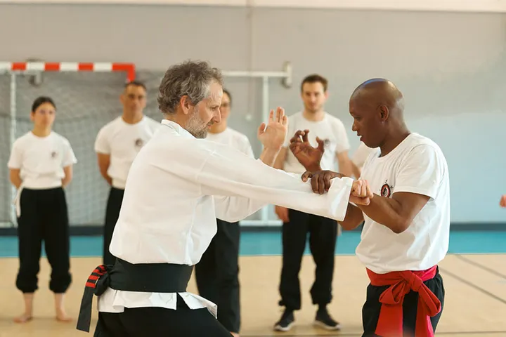 Kung Fu Hong Gia — arts martiaux-studio à Serin, Lyon — 3