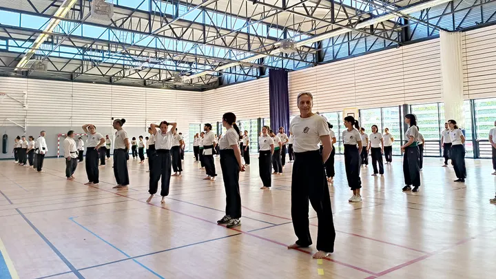 Kung Fu Hong Gia — arts martiaux-studio à Lyon — 4