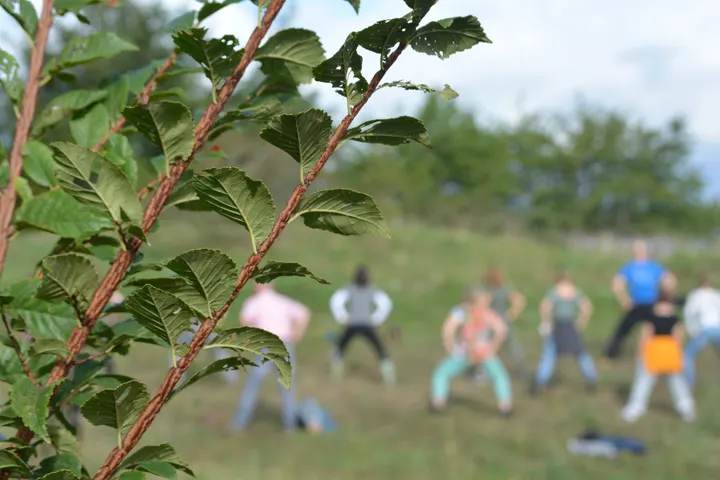Tai Chi Chuan Wijchen — vechtsport-studio in Wijchen — 2