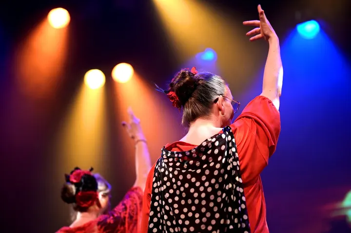Rose World Dance Centre — dans-studio in Vlaardingen — 5