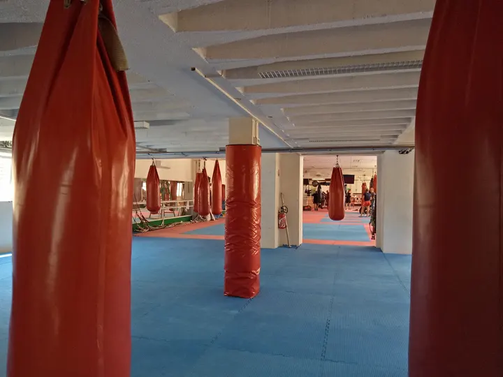 PANZA GYMNOTHÈQUE — salle de fitness-studio à Neudorf-Musau, Strasbourg — 3