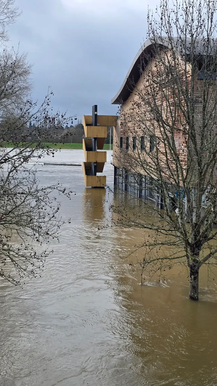 Aviron Tours Métropole — aviron-studio à Tours — 5