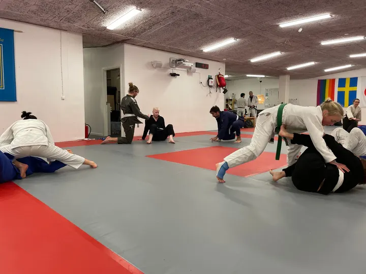 Budoklubben Shindo — martial arts-studio i Mölndal, Göteborg