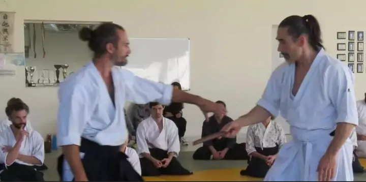 KISHINKAI Aikido Nantes — arts martiaux-studio à Bourgeonnière - Petit Port, Nantes — 2