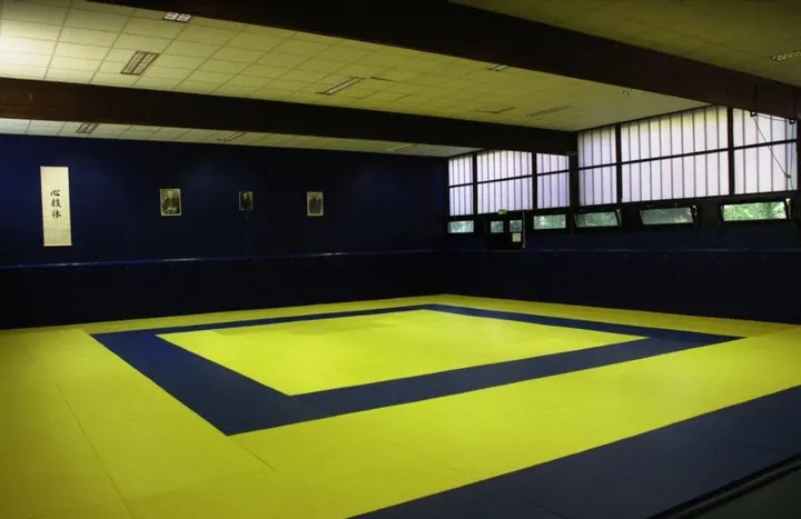 KISHINKAI Aikido Nantes — arts martiaux-studio à Nantes — 4