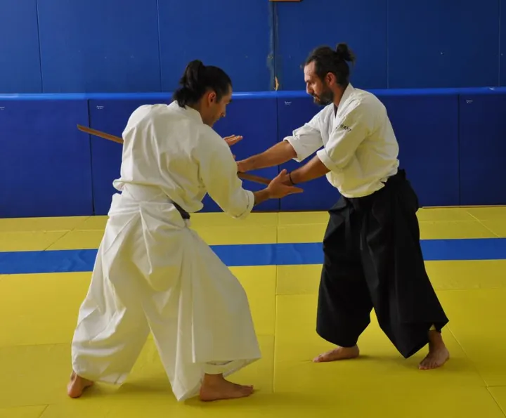 KISHINKAI Aikido Nantes — arts martiaux-studio à Nantes — 5