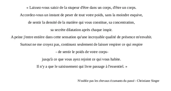 Shamata-yoga — yoga-studio à La Touche, Rennes — 3