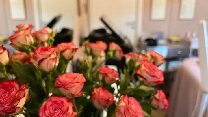 Lady Love Wellness — wellness-studio i Östermalm, Stockholm