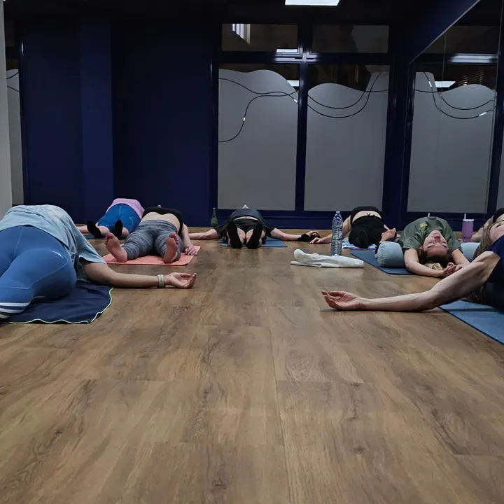 Wisdom Of Yoga — hot yoga-studio à Magny, Metz — 2