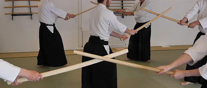 Roskilde Aikido Klub — kampsport-studio i Vindinge Lillevang, Roskilde — bild 2