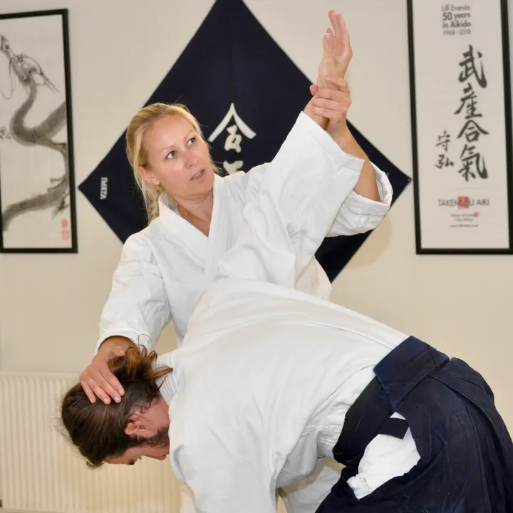 Roskilde Aikido Klub — kampsport-studio i Roskilde — 3