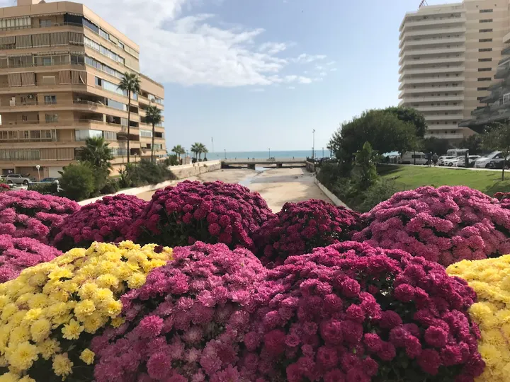 Vibraciones Sanadoras — breathwork-studio en Fuengirola — 4