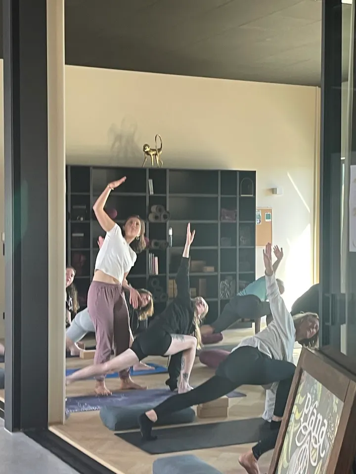 Prana Yoga Chez MK — yoga-studio à Ifs — 4