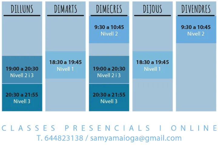 Centre de Ioga Samyama — Yoga en Reus