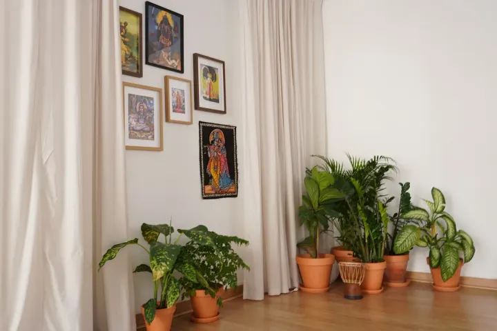 Estúdio do Bairro — yoga-studio em São Francisco Xavier, Lisboa — 2