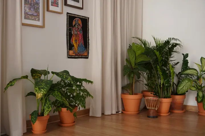 Estúdio do Bairro — Breathwork em São Francisco Xavier, Lisboa