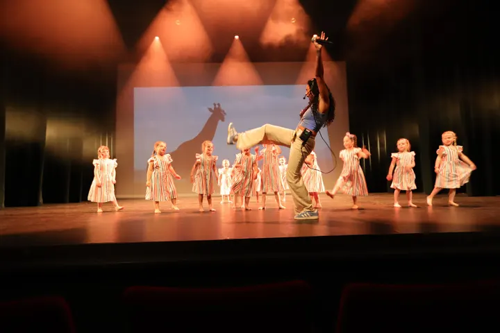 Eigenwijzer Dans Akademie — dans-studio in Slotjes, Oosterhout — 2