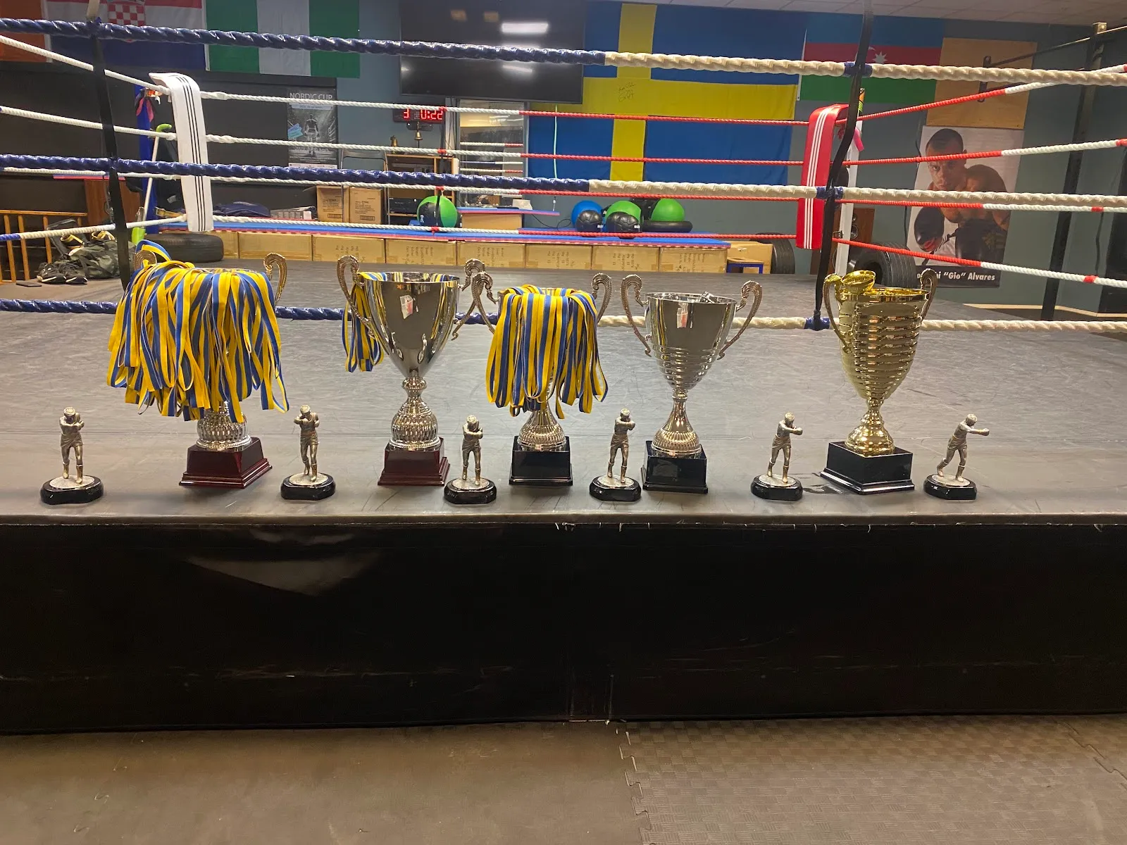 New Sweden Boxing Academy — boxning-studio i Askim, Askim — bild 3