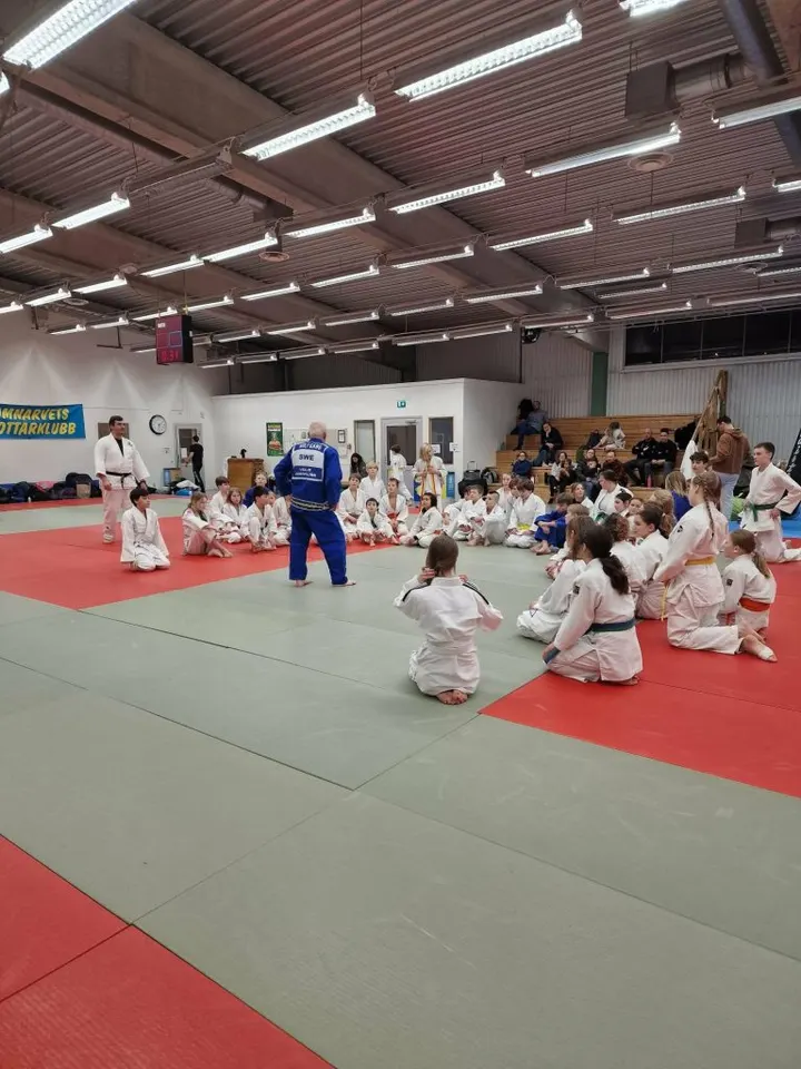 Larvik & Sandefjord Judoklubb Sportsveien — kampsport-studio i Hovland, Sandefjord — 2