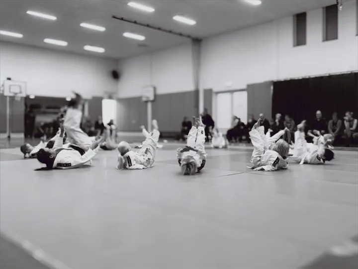 Budocentrum Junansei — vechtsport-studio in Krimwijk, Voorschoten — 2