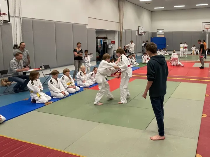 Budocentrum Junansei — vechtsport-studio in Krimwijk, Voorschoten — 3