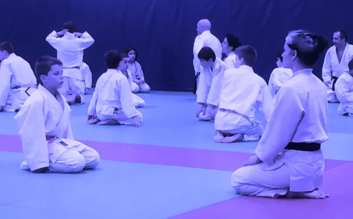Angers Judo — arts martiaux-studio à Deux-Croix - Banchais, Angers — 2