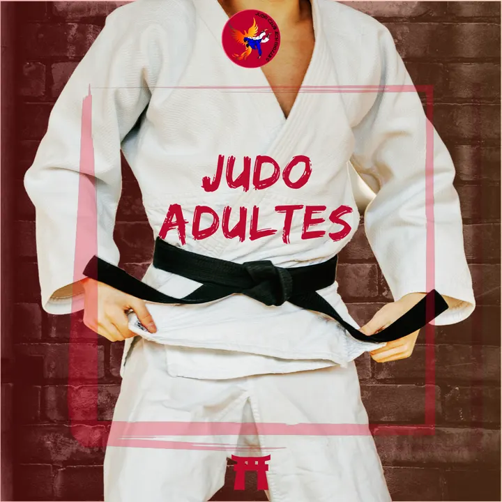 Judo Club Echirolles — arts martiaux-studio à Échirolles — 3