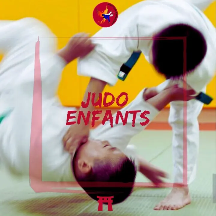 Judo Club Echirolles — arts martiaux-studio à Échirolles — 4
