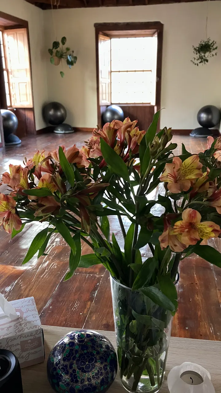 Marta Alonso Pilates, Hipopresivos y Barre - Tenerife — pilates-studio en La Laguna — 3