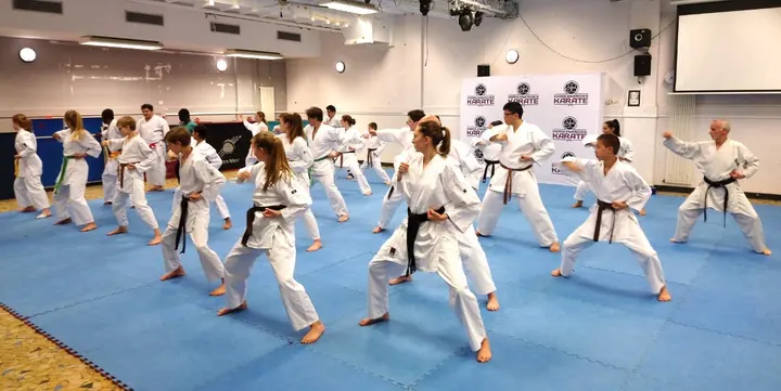 PARIS ENERGIES KARATE (PEK) — arts martiaux-studio à Paris 5e Arrondissement, Paris — 3
