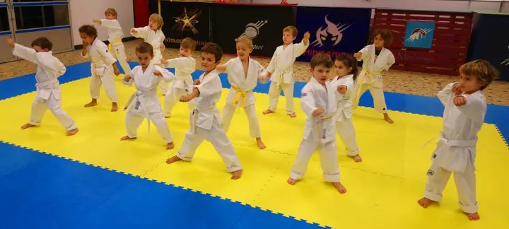 PARIS ENERGIES KARATE (PEK) — arts martiaux-studio à Paris — 3