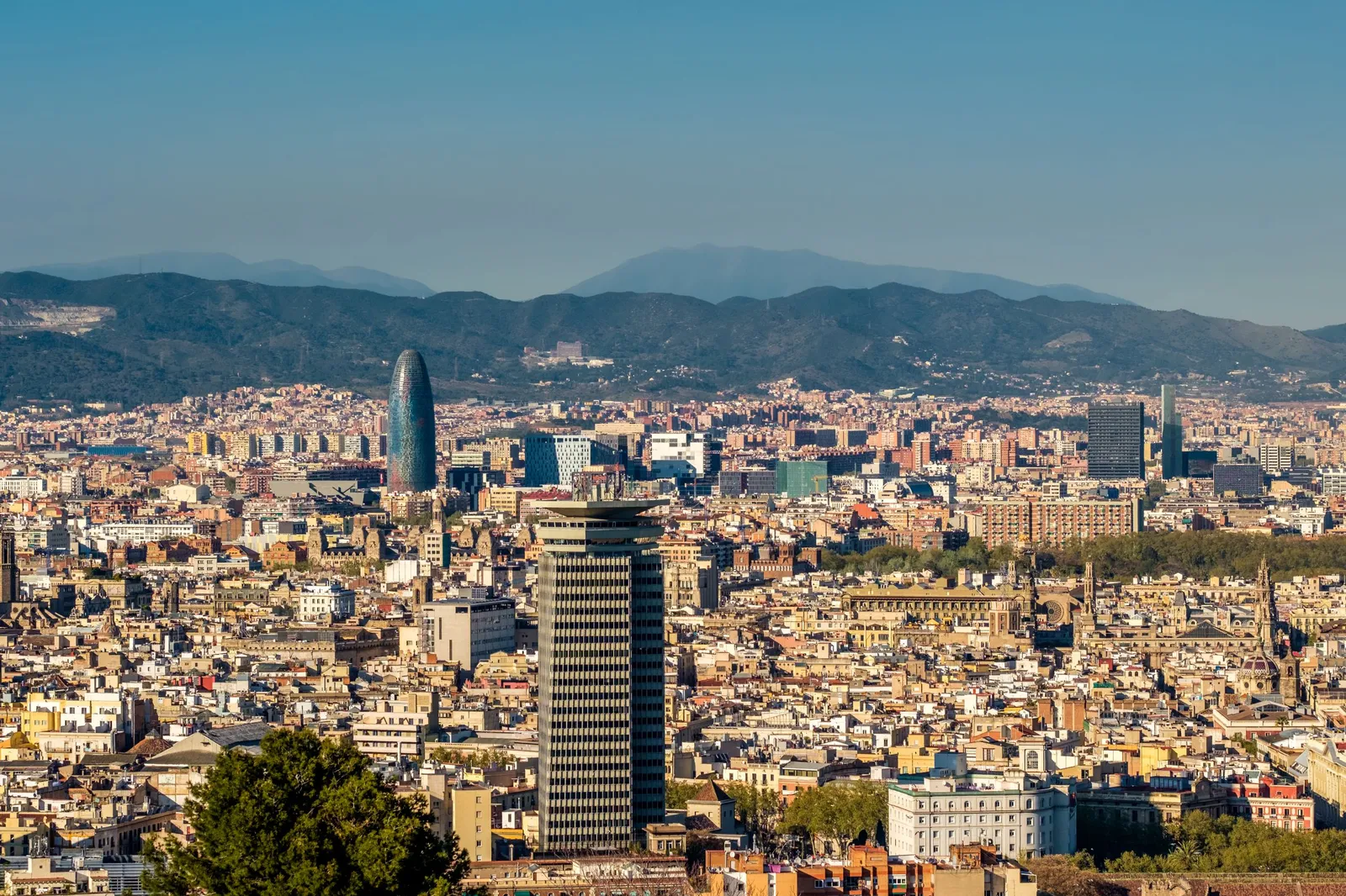 GOLDEN KYU SARRIÀ - Artes marciales - Kick Boxing - Fit Boxing en Barcelona (Sarrià - Sant Gervasi) — kampsport-studio i Sarrià - Sant Gervasi, Barcelona — bild 3