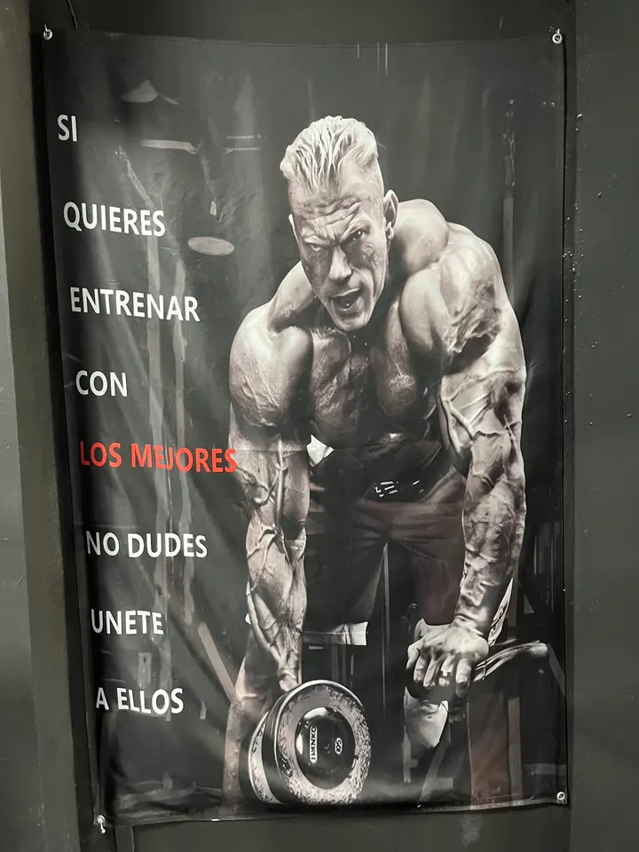 California GYM — estudio de fitness-studio en Cartagena — 3
