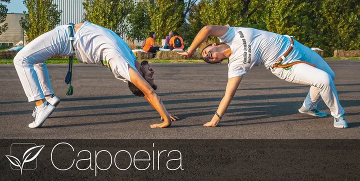 Palestra Equilibra — palestre-studio a Modena — 6