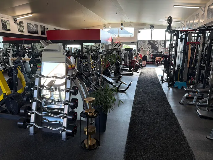 Gold Fitness — salle de fitness-studio à Habsheim — 3