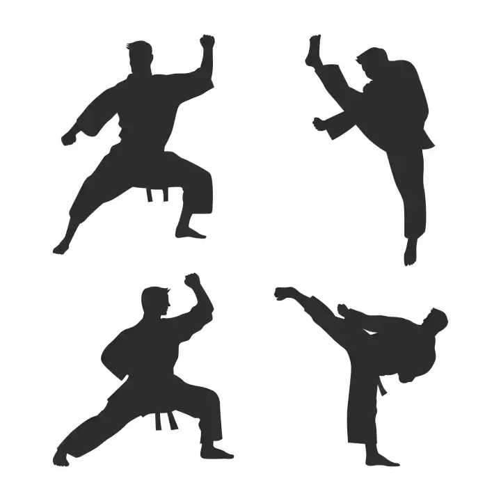 Avignon Karatedo Yoga — arts martiaux-studio à Quartier Ouest, Avignon — 2