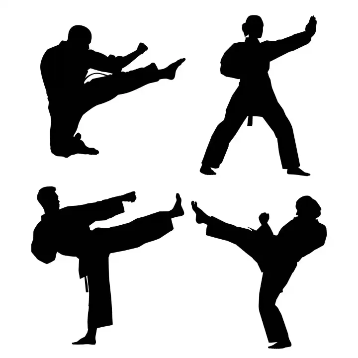 Avignon Karatedo Yoga — arts martiaux-studio à Quartier Ouest, Avignon — 3