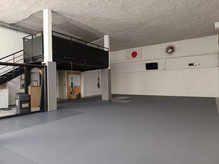 ARANHA JIU-JITSU LYON — jjb-studio à Villeurbanne — 5