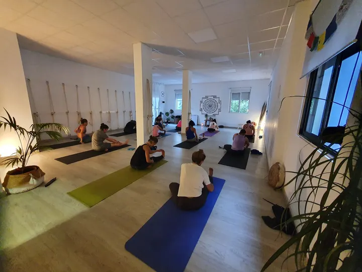 Vinyasa Yoga Estudio — yoga-studio en Ave María, Málaga — 2