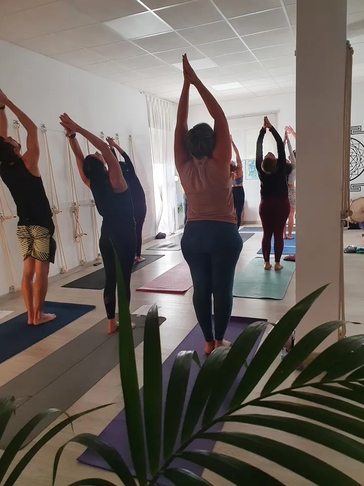 Vinyasa Yoga Estudio — yoga-studio en Málaga — 4
