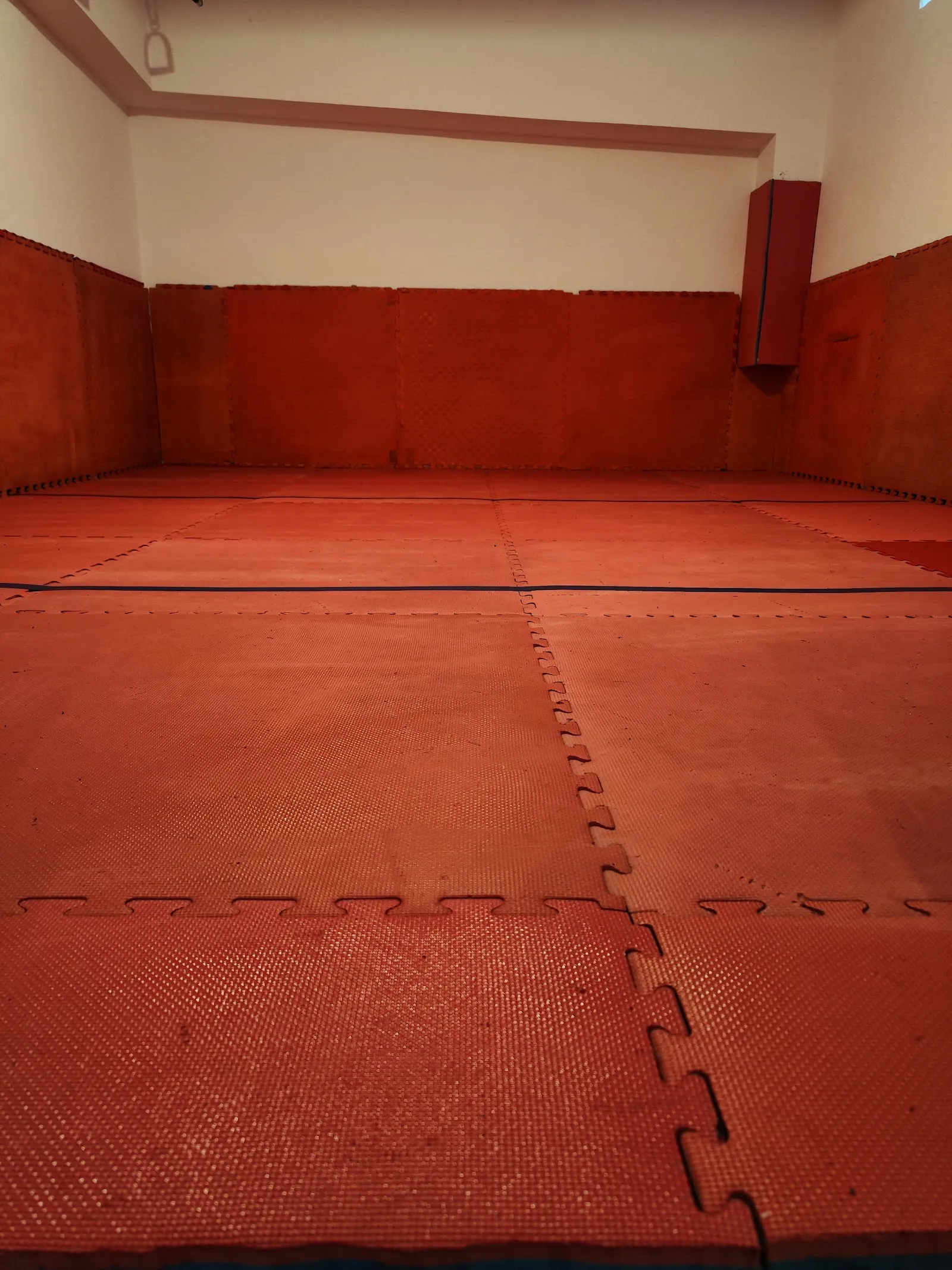 Jiu Jitsu Studio Salamanca — artes marciales-studio en Carpihuelo, Carbajosa de la Sagrada — 3