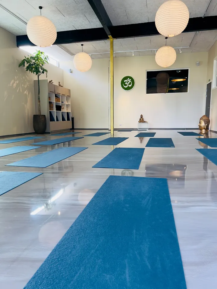 Apollo Fitness — træningsstudio i Nørremarken, Vejle — 3