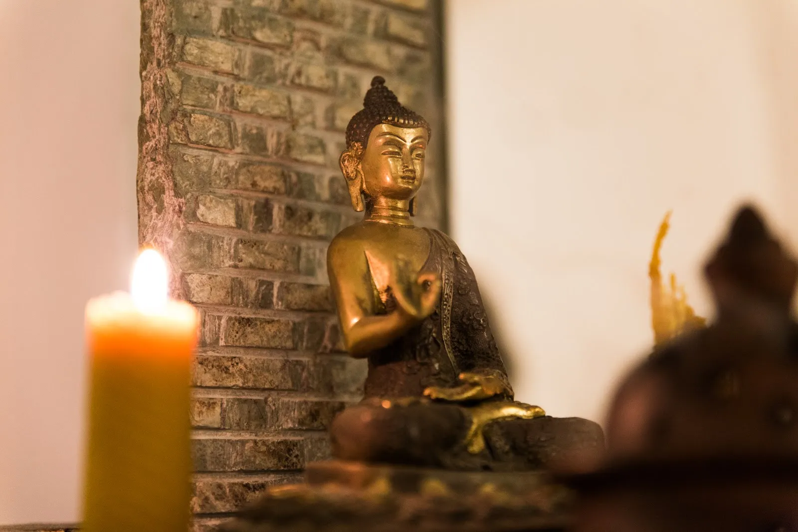 Buddhi Yoga Xàtiva — yoga-studio en Xàtiva — 2