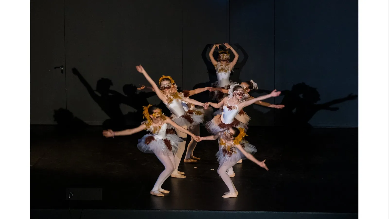 Tanz im Hof Balettschule — tanz-studio in Rüttenscheid, Essen — 3