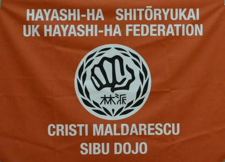 Toshi Karate Club — martial arts-studio in Dunstable — 3