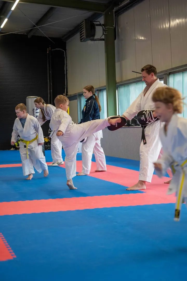 Atlas Sport Club e.V. — Kampfsport in Bergedorf, Hamburg