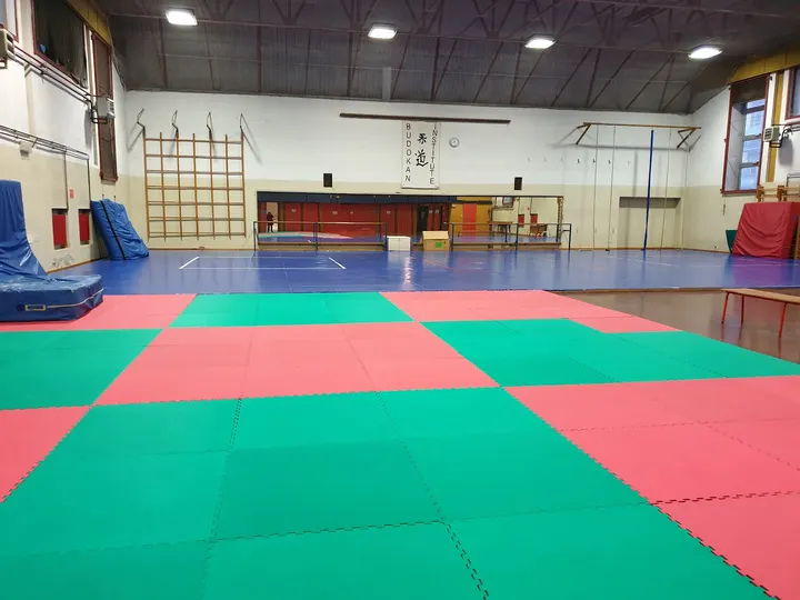 Budokan Institute Bologna Jujitsu — Arti marziali a Malpighi, Bologna