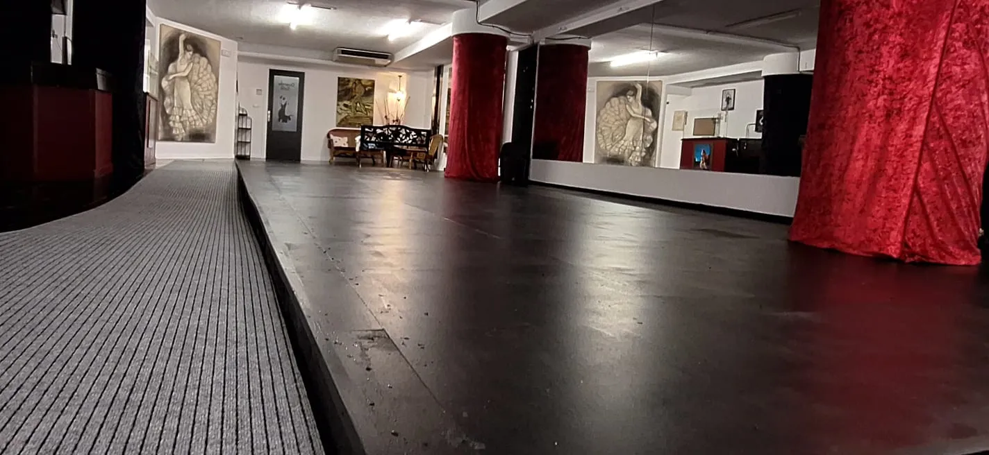 Centro Flamenco el Duende de la Sole — baile-studio en Donostia/San Sebastián — 5